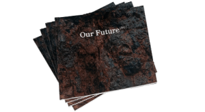 Our Future (Soft Cover)