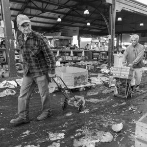 Starting out the Day