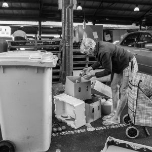 Shorts & Tartan Green Pepper