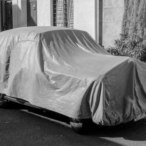 Chippendale Vanguard