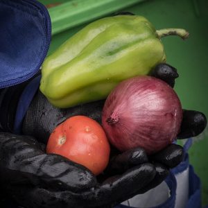 A Hand of Produce