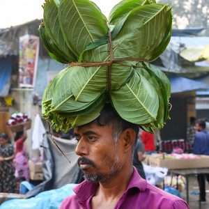 Fashion from the Fields